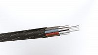 Кабель АКВВГнг 10х6