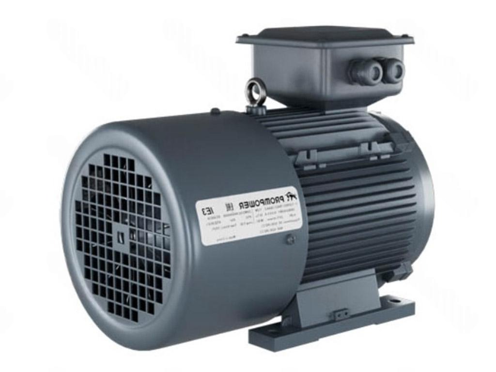 Электродвигатель 1LE9303-1CB23-3AA4 PROMPOWER